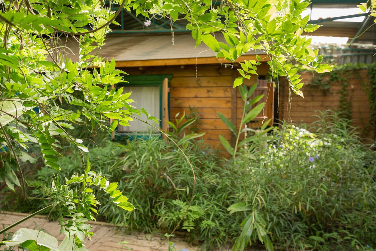 Lavenderin Lodges Ramot Naftali Buitenkant foto